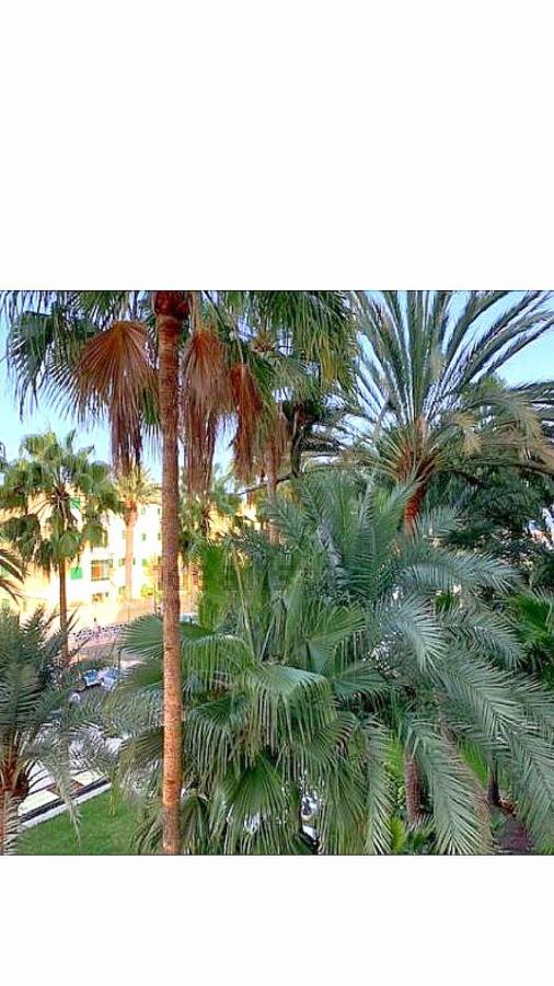 Maspalomas Del Mar Сан-Бартоломе Экстерьер фото